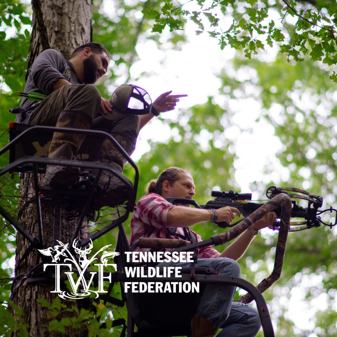 Login / Enroll, Tennessee Hunt & Fish Licenses